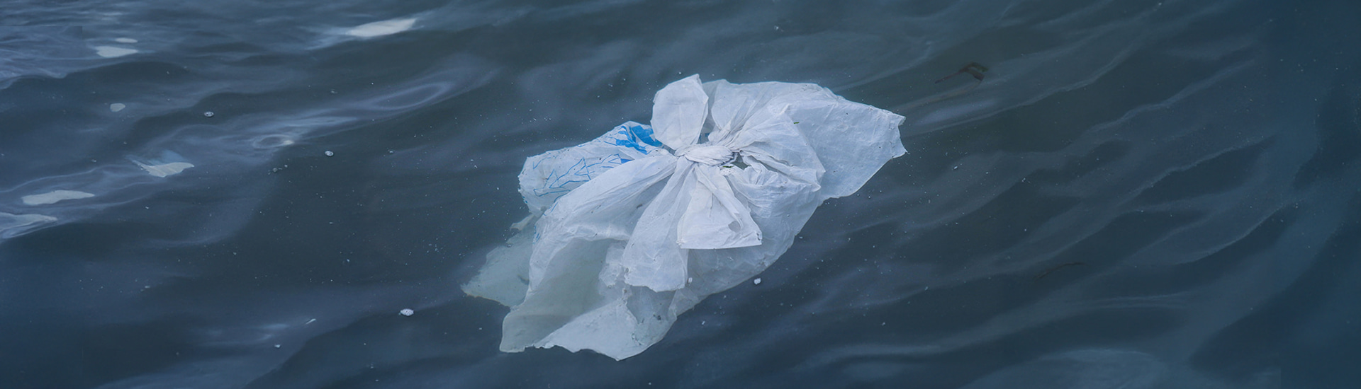 A plastic bag inside the sea